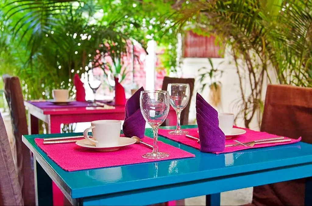 Amarya Haveli Hotel New Delhi 4*,